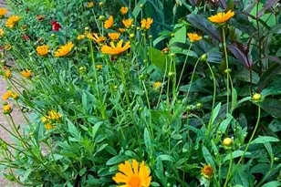 7208 Tamarack Rd, Benbrook, TX 76116 - Photo 37