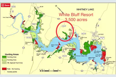 29030 Whisperwood Drive, Whitney, TX 76692 - Photo 13