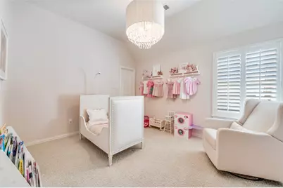 3001 Sunny Hill Lane, Prosper, TX 75078 - Photo 31