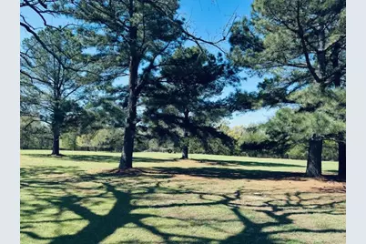 Tbd County Road 3357, Emory, TX 75440 - Photo 1