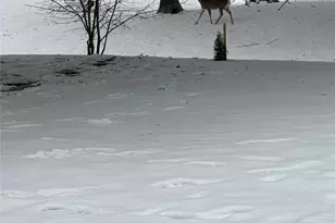 2924 Monet Ct, Flower Mound, TX 75022 - Photo 37