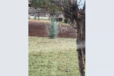 2924 Monet Court, Flower Mound, TX 75022 - Photo 35