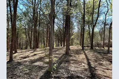 Tbd Quail Creek Circle, Pottsboro, TX 75076 - Photo 31