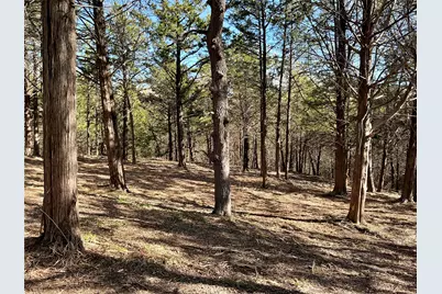 Tbd Quail Creek Circle, Pottsboro, TX 75076 - Photo 21