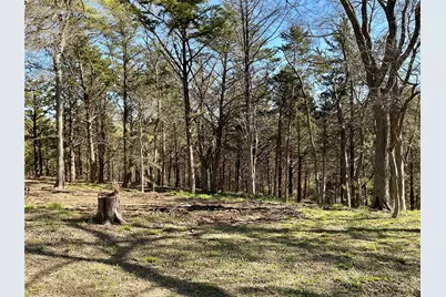 Tbd Quail Creek Circle, Pottsboro, TX 75076 - Photo 15