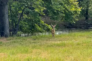 2382 Crystal Dr, Athens, TX 75752 - Photo 7