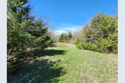15957 County Road 566, Farmersville, TX 75442 - Photo 21