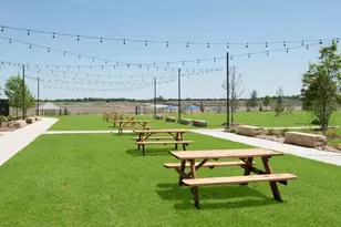 209 Boxberry Wy, Princeton, TX 75407 - Photo 27