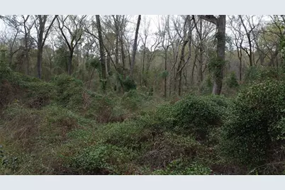 2039 C.R. 2850, Pittsburg, TX 75686 - Photo 19