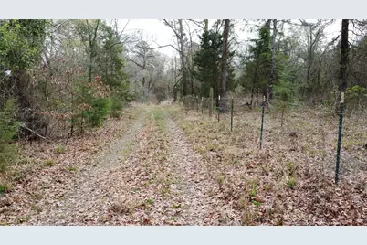 2039 C.R. 2850, Pittsburg, TX 75686 - Photo 25