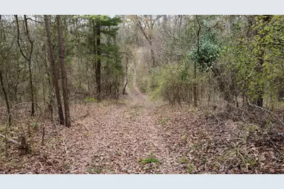 2039 C.R. 2850, Pittsburg, TX 75686 - Photo 21