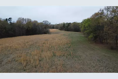 2039 C.R. 2850, Pittsburg, TX 75686 - Photo 13