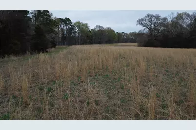 2039 C.R. 2850, Pittsburg, TX 75686 - Photo 5