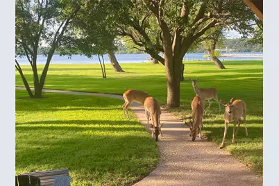 1957 Deer Trail Road, Possum Kingdom Lake, TX 76449 - Photo 31