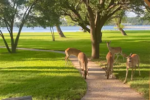 1957 Deer Trail Rd, Possum Kingdom Lake, TX 76449 - Photo 31