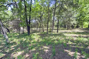 125 Harrell St, Gun Barrel City, TX 75156 - Photo 39