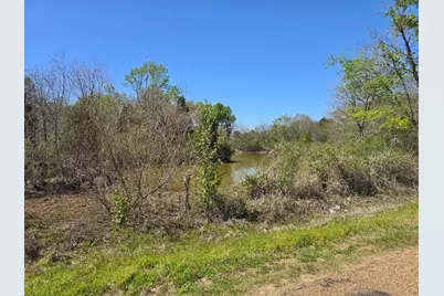 Tbd Cr-3819, Athens, TX 75752 - Photo 3