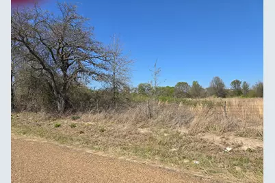 Tbd Cr-3819, Athens, TX 75752 - Photo 5