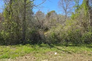 Tbd Cr-3819, Athens, TX 75752 - Photo 1