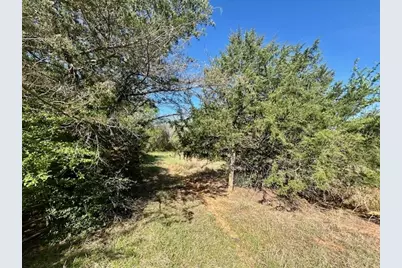 Tbd Fm 1512, Jewett, TX 75846 - Photo 13