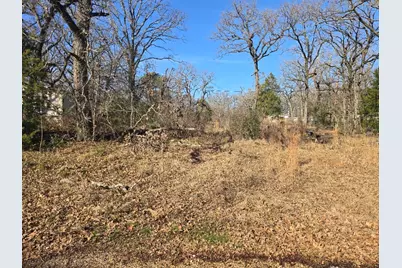 Lot 699 Shady Grove Road, Gun Barrel City, TX 75156 - Photo 7