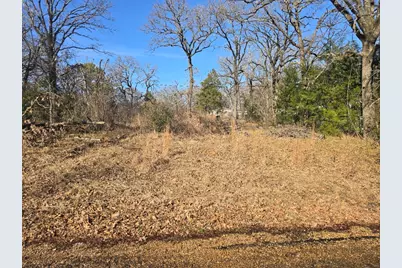 Lot 699 Shady Grove Road, Gun Barrel City, TX 75156 - Photo 3