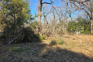 Lot 699 Shady Grove Rd, Gun Barrel City, TX 75156 - Photo 1