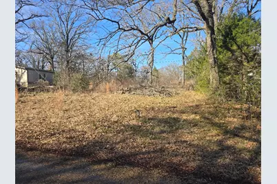 Lot 699 Shady Grove Road, Gun Barrel City, TX 75156 - Photo 5