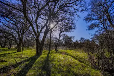 1116 Lowrance Road, Jacksboro, TX 76458 - Photo 37