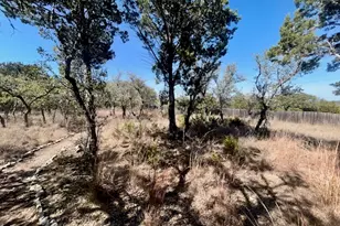 335 Gant Rd, Dripping Springs, TX 78620 - Photo 23