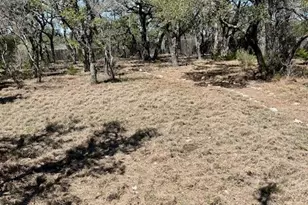 335 Gant Rd, Dripping Springs, TX 78620 - Photo 27