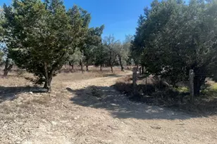 335 Gant Rd, Dripping Springs, TX 78620 - Photo 21