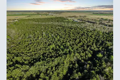 0000 County Road 4617, Wolfe City, TX 75496 - Photo 13