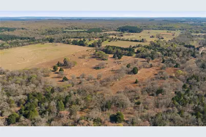 14574 Cr 1114, Athens, TX 75751 - Photo 3