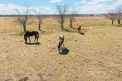 68.37 Acres, Tbd County Road 108, Alvarado, TX 76009 - Photo 5