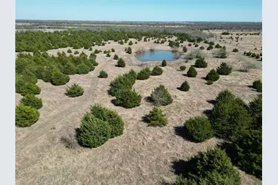 Tbd 2 Cr 3805, Bailey, TX 75413 - Photo 11