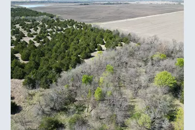 Tbd 2 Cr 3805, Bailey, TX 75413 - Photo 13