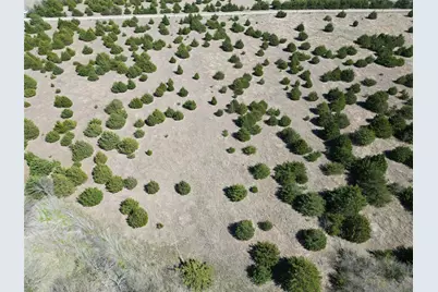 Tbd 3 Cr 3805, Bailey, TX 75413 - Photo 11