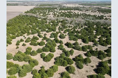Tbd 3 Cr 3805, Bailey, TX 75413 - Photo 9