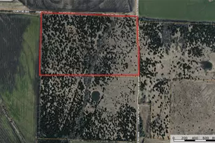 Tbd 3 Cr 3805, Bailey, TX 75413 - Photo 1