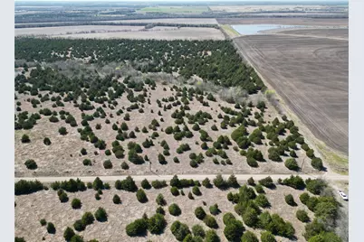 Tbd 3 Cr 3805, Bailey, TX 75413 - Photo 3