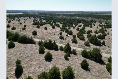 Tbd 3 Cr 3805, Bailey, TX 75413 - Photo 13