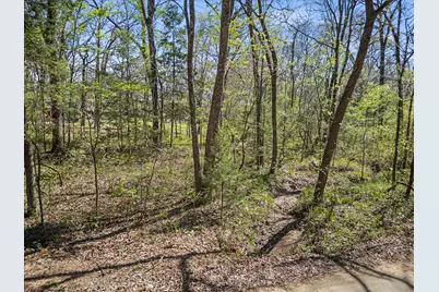 0 County Road 1687, Alba, TX 75410 - Photo 7