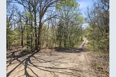 0 County Road 1687, Alba, TX 75410 - Photo 5