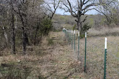21 Ac Erwin, Perrin, TX 78486 - Photo 11