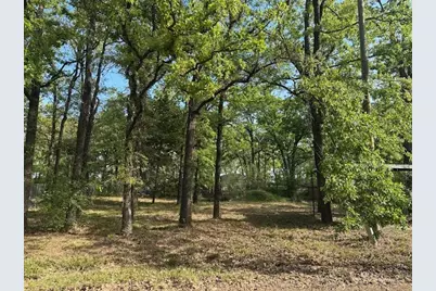 116 Red Bird Lane, Mabank, TX 75156 - Photo 1