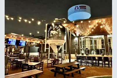 1965 Newman Avenue, Allen, TX 75013 - Photo 29