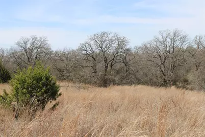 13 Ac N Mason, Perrin, TX 78486 - Photo 7