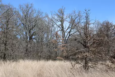 13 Ac N Mason, Perrin, TX 78486 - Photo 5