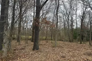 Tbd (Lot 8) Florence St, Grand Saline, TX 75140 - Photo 1